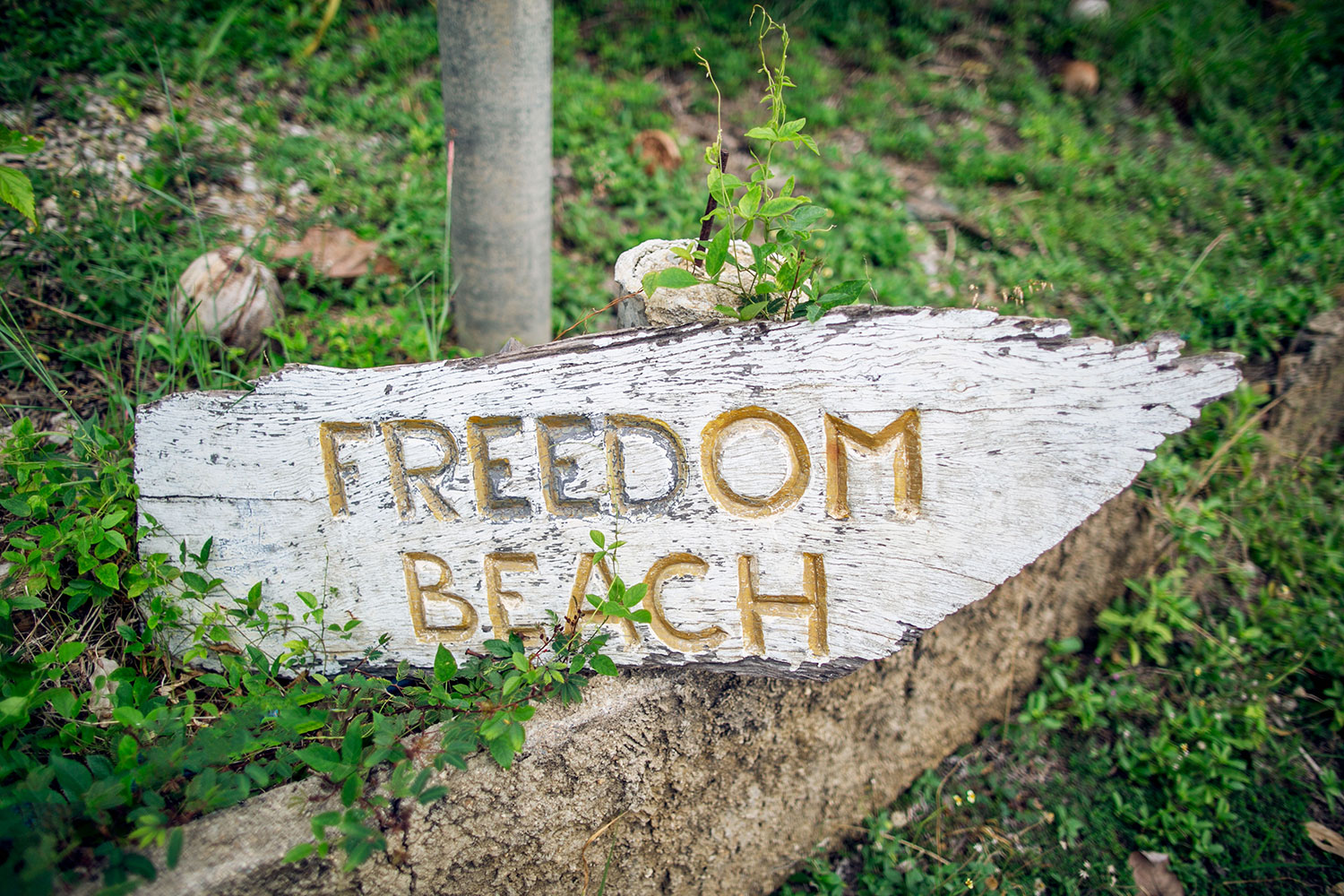 freedom beach